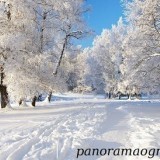 61759390231135874450