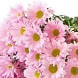 62003098171985549213