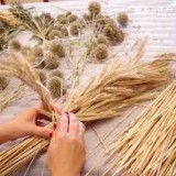 63717391957292873774