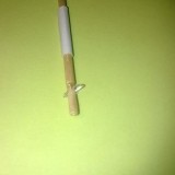 64154430409379857952