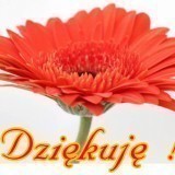 691eca3cc5ab38ed847126c2fa5c58bc