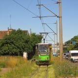 6ca71defcddb1e6fccd7d29e379c5504