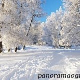 6e8081e0c75dc6b1d000246e4baccac0