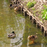 742f3c4775bd8b7971e12a8778dc9f90