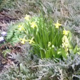 74540555955044365626