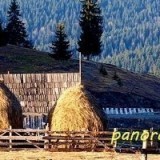 74742364109401194626