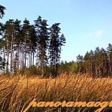 778d72f0511b1ddd9b0293a0bc05046b