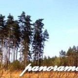 78160994081046030601