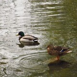 78712f37b148a6a3a28712a95620fa5e