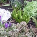 79617100797552855091