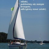 79902963933283129955