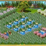 80644032759281994230