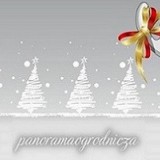 8093874b1c773c6ffc2f3a40c5614b06