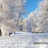 84227176288637392534