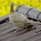 85137376790840331659