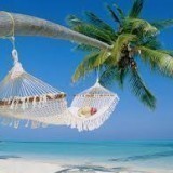 85282185887791758014