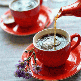 86706170151904553424