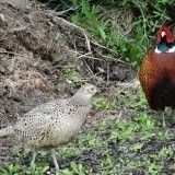 88006181364057864919