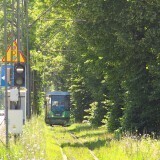 8aa2b1daf059368982227997343d50f7