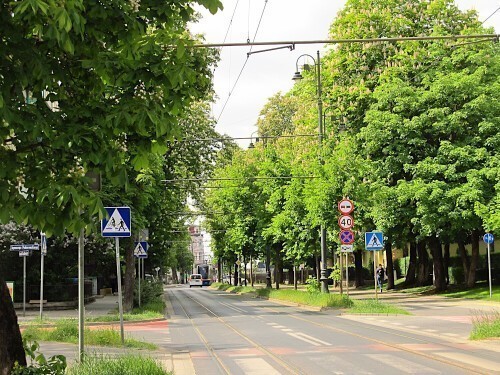 Bydgoszcz ul. Chodkiewicza. 13.05.2025 r.