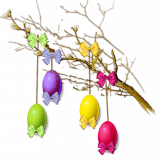 90285124598351674717