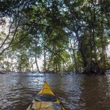 96223122021245304812