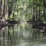 96457988728677284342