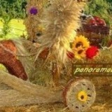 96832380359904825724