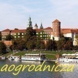 96986448529062026360