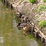 a14108f7febf1ab916cf5e4482a90f20