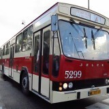 a36d624239d131a0081012e57afa6c59