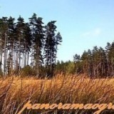 e870adfbff9740f1a8177aaf4df8a80f