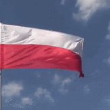 f014db3163d45d7ad3c2e46a201fa5c3