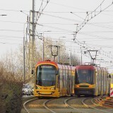 f74b3a4757de8a66a3b2261b803fd596