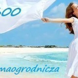 f75eb1026894ef9db030747ad52cb035